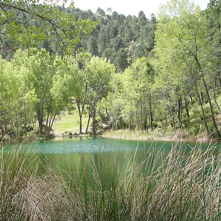 El Enebro Villa Villaverde De Guadalimar Exteriör bild