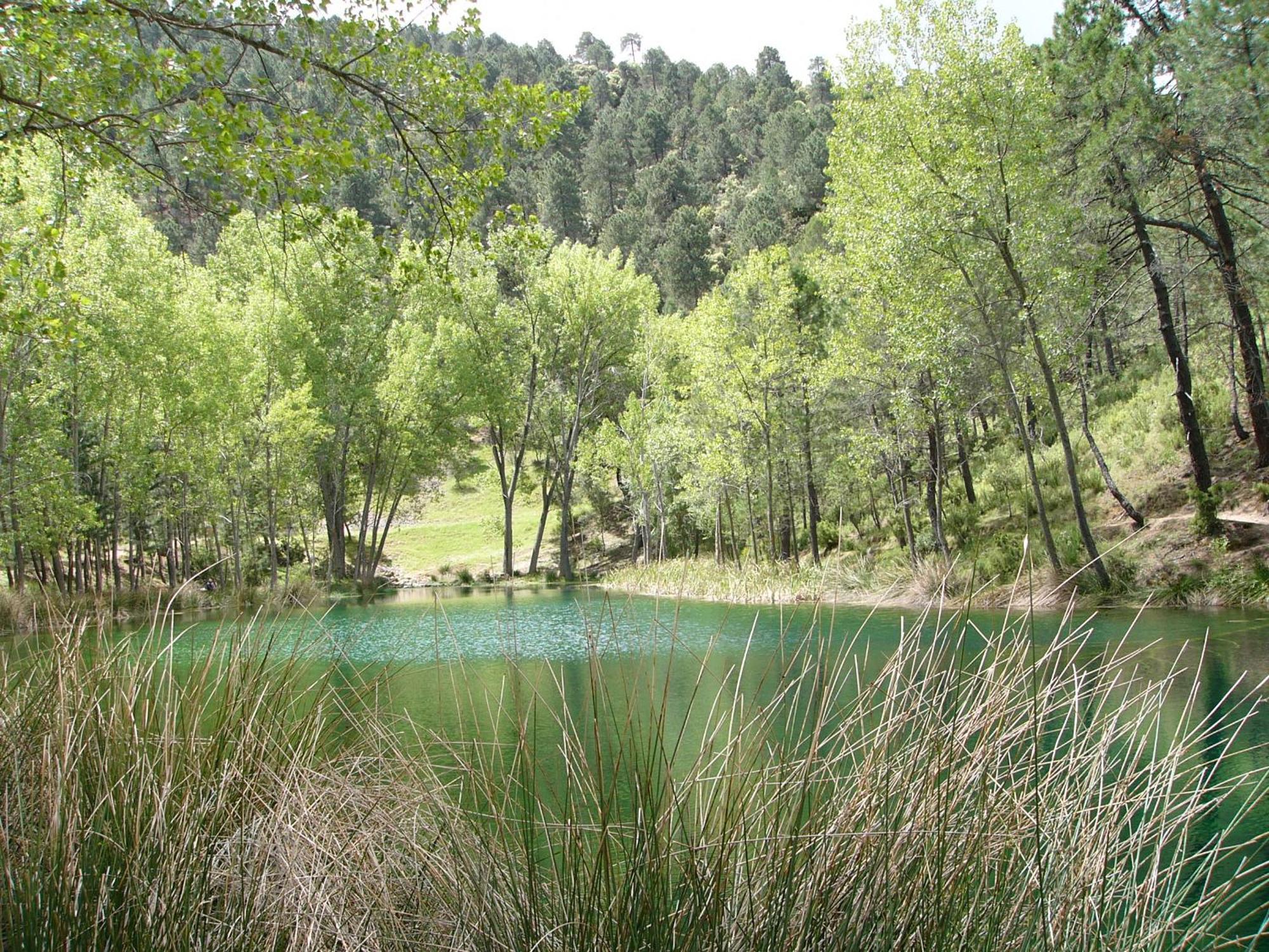 El Enebro Villa Villaverde De Guadalimar Exteriör bild